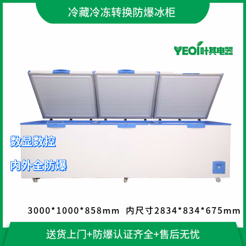 BL-W1580CD��ʽ���ŷ�������