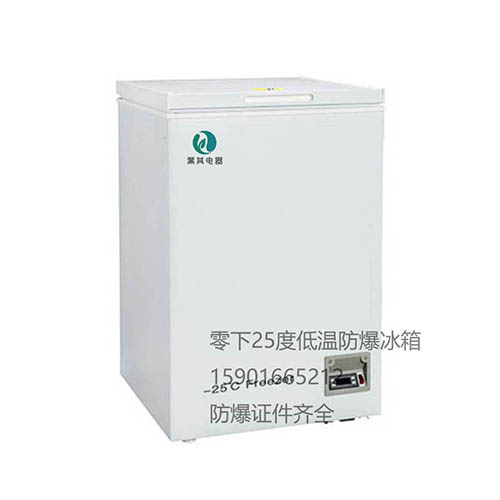 BL-DW110YW�����������������